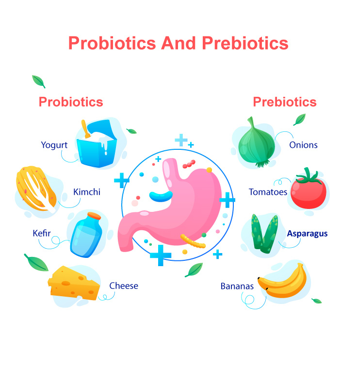 Gut-Friendly Foods: What are Prebiotics and Probiotics and How Can They  Help You - SJL - Articles